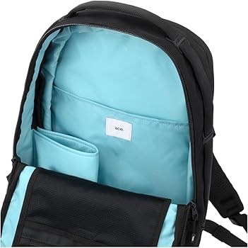 Amazon.co.jp: [エースジーン] ラグレンティスヘザー B4 リュック